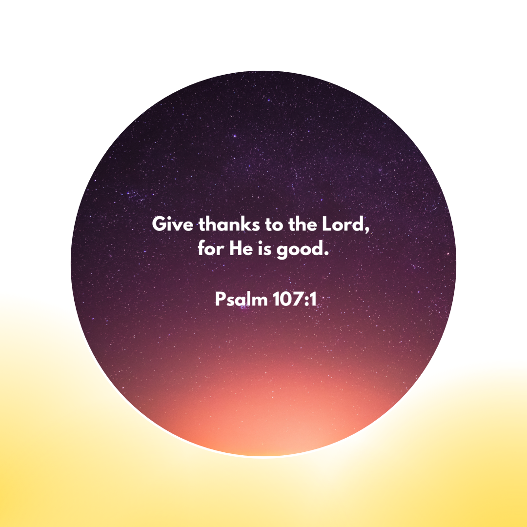 12 Additional Scripture Galaxy Discs For Bible Projector (Limited Collection)